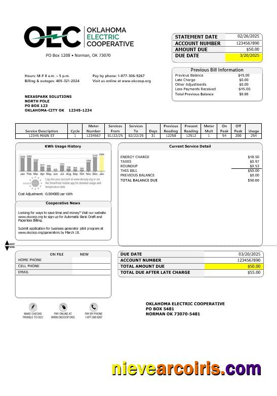 USA OEC electricity business utility bill